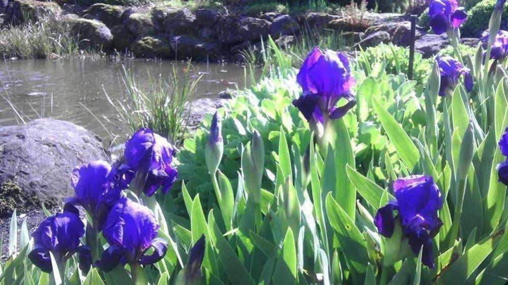 Oregon Garden Lodge *